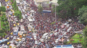rcb victory parade news
